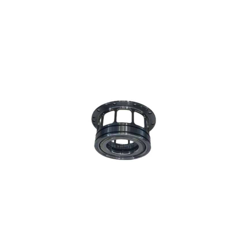 Special Bearing