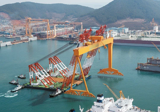 Spherical Roller Bearings: The Core Supporting Force in Heavy Machinery