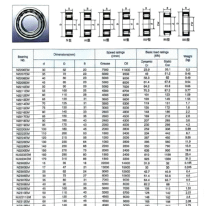 Cylindrical Roller Bearings in Gear Reducers: Unique Features and Key Points