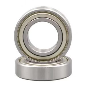 Stainless Steel Bearings: SS6005