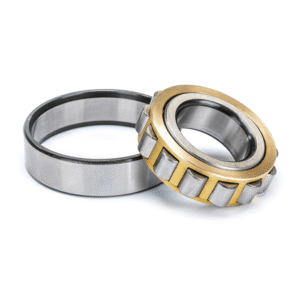 Cylindrical Roller Bearing:N310