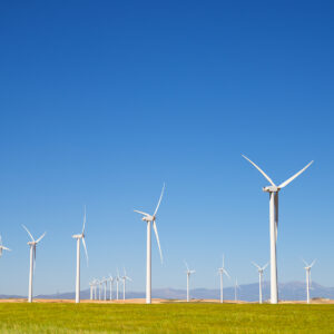 Main Failure Modes of Wind Turbine Bearings | FODA BEARING